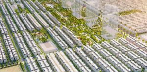 Phân khu sao biển